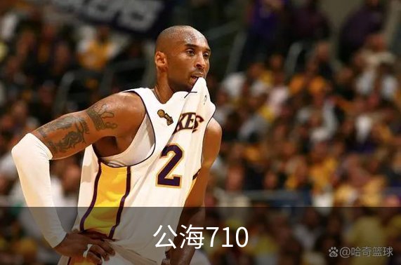 公海710简介